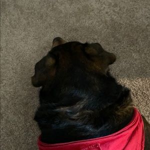 Meet your Posher, Gerald